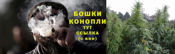 бошки Алексин