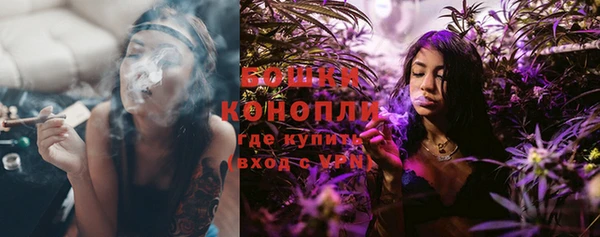 бошки Алексин