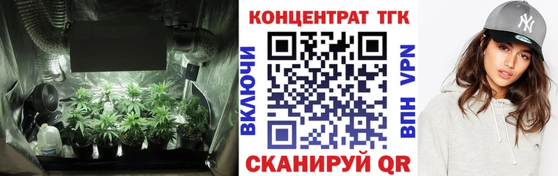 OMG ТОР  Невинномысск  ТГК Wax 