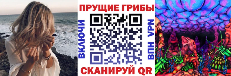 Псилоцибиновые грибы Magic Shrooms  кракен вход  Невинномысск 
