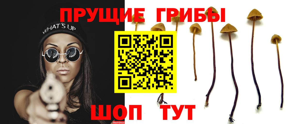 Невинномысск  Псилоцибиновые грибы прущие грибы  Вход с VPN 